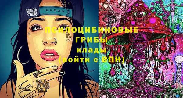 круглые Алексеевка