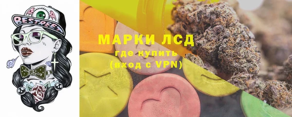 стаф Алексин